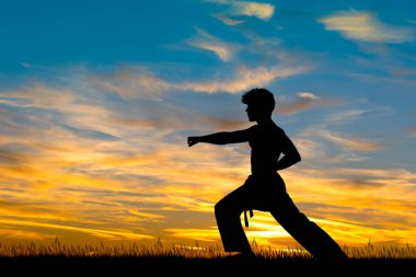 gün batımında karate illüstrasyon