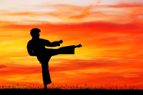 Illustratie Van Karate Bij Zonsondergang — Stockfoto