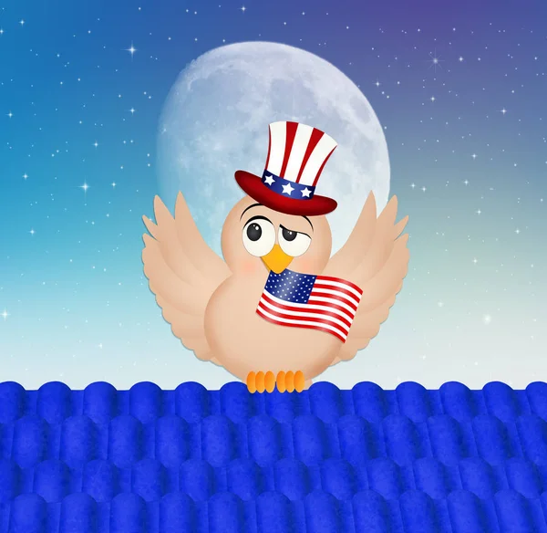 鸟的例证与美国帽子和旗子 — 图库照片