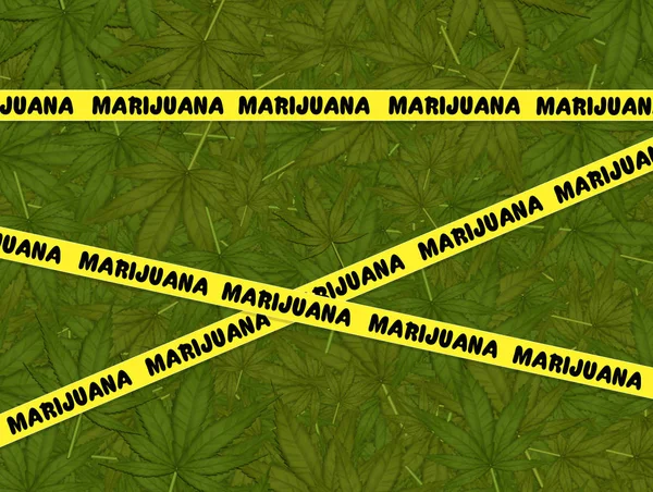 Illustrazione Del Campo Marijuana — Foto Stock