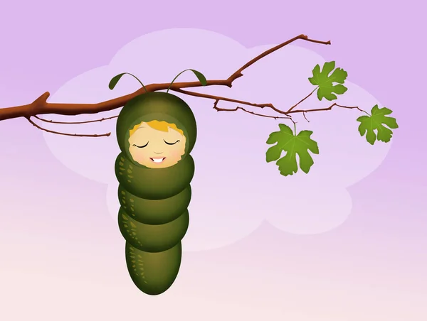 Illustration Baby Cocoon — Stock Photo, Image