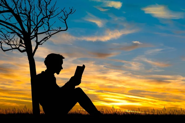 illustration of man reading a book at sunset