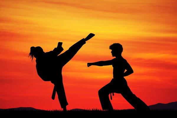 illustration of man and woman doing karate at sunset