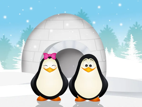 Illustration Penguins Igloo — Stock Photo, Image