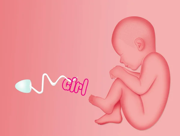 Illustration Announcement Baby Female — Stock Photo, Image