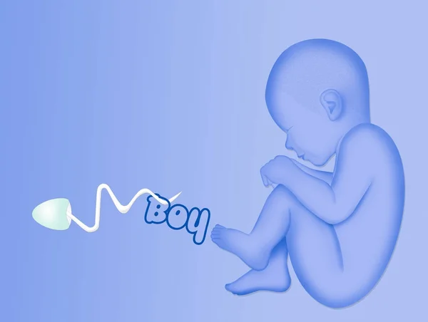 Illustration Announcement Baby Male — Stock Photo, Image