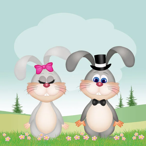Illustration Couple Bunnies — Stock Photo, Image