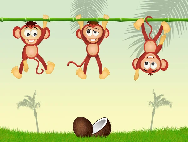 三只猴子在竹子上的插图 — 图库照片