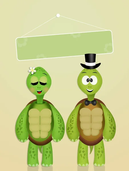 Illustratie Van Het Huwelijk Van Schildpadden — Stockfoto