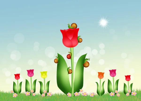 Illustration Von Schnecken Auf Tulpen — Stockfoto