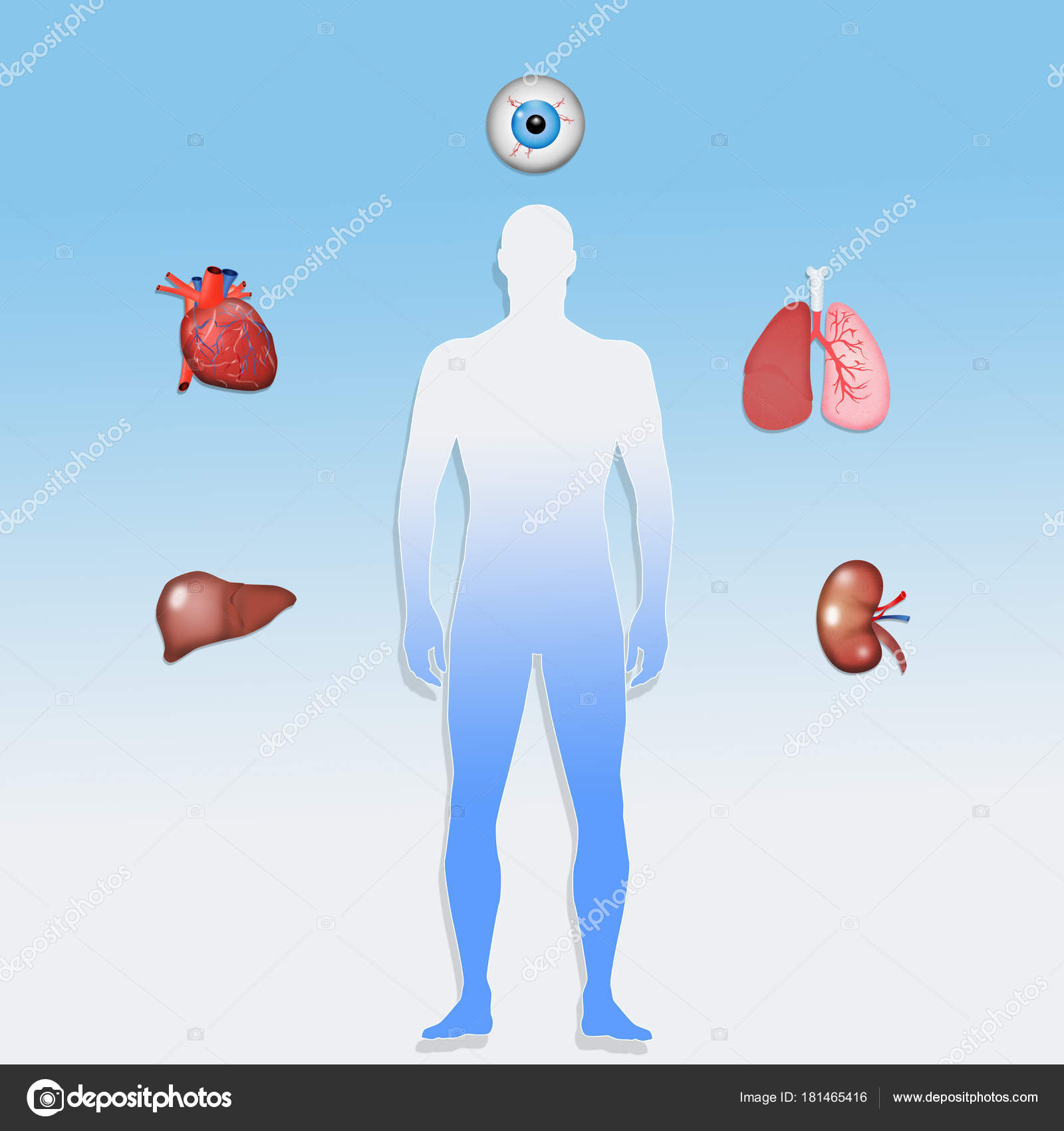 scaricare di adrenalina organo