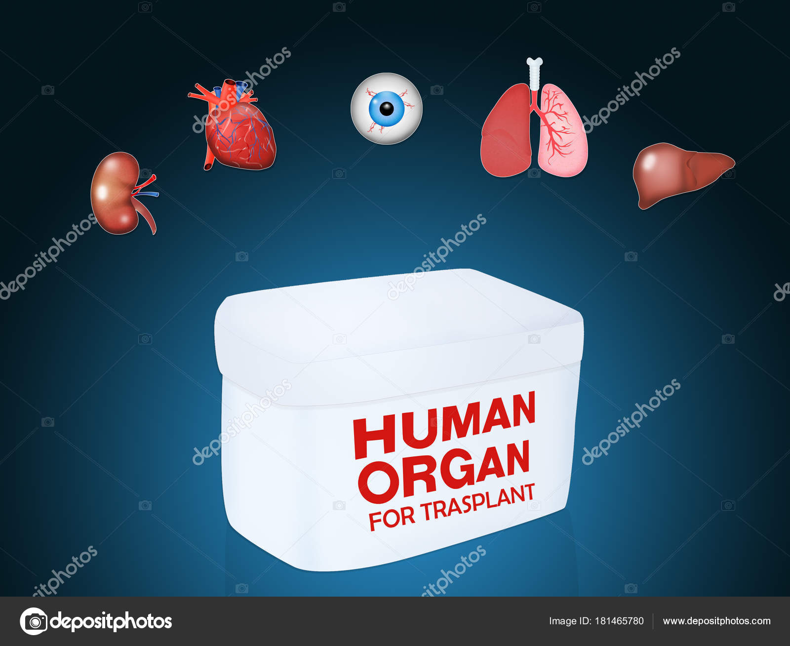DI ADRENALINA ORGANO SCARICA