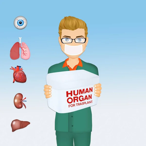 Illustrazione Del Medico Chirurgo Con Organi Umani Trapianto — Foto Stock