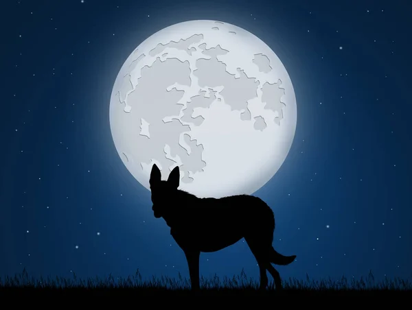 月明かりの下でオオカミのイラスト — ストック写真