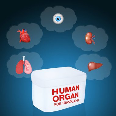 İnsan organ trasplant için çizimi