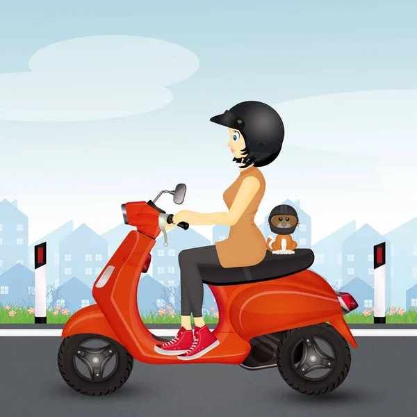 Girl Cat Scooter — Stock Photo, Image