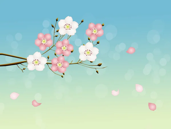 Illustration Von Pfirsichblüten — Stockfoto