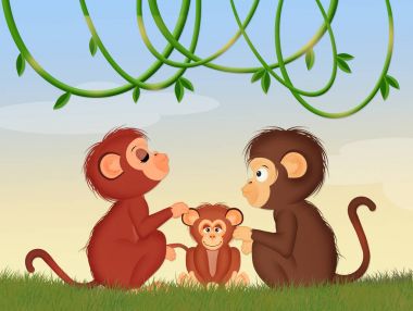 Aile maymun resmi