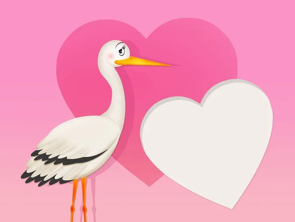 Illustration Stork För Kvinnliga — Stockfoto