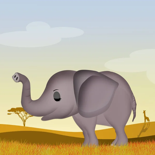 Слон Африканском Ландшафте — стоковое фото