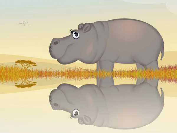 Ilustración Del Hipopótamo Estanque —  Fotos de Stock