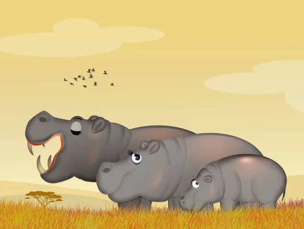 Ilustracja Rodziny Hipopotamy — Zdjęcie stockowe