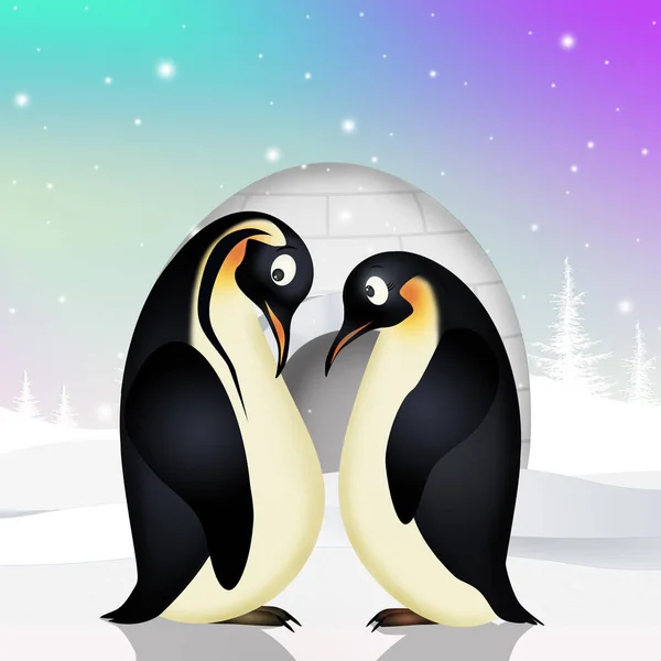企鹅夫妇的插图 — 图库照片