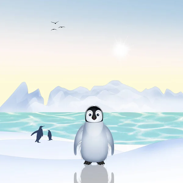 Ilustração Pequeno Pinguim — Fotografia de Stock