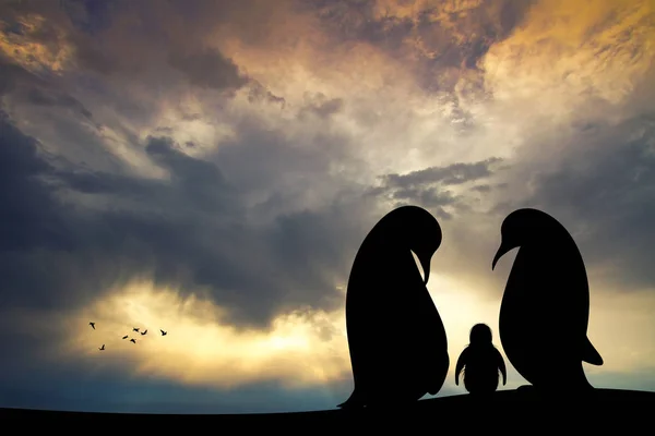 Pingwiny Rodzina Sylwetka Zachodzie Słońca — Zdjęcie stockowe