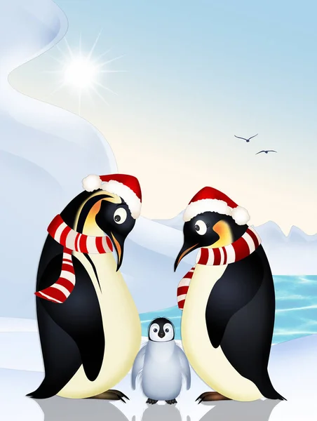 Familia Pingüinos Navidad —  Fotos de Stock