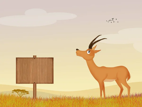 Antilop Dzsungelben Illusztrációja — Stock Fotó