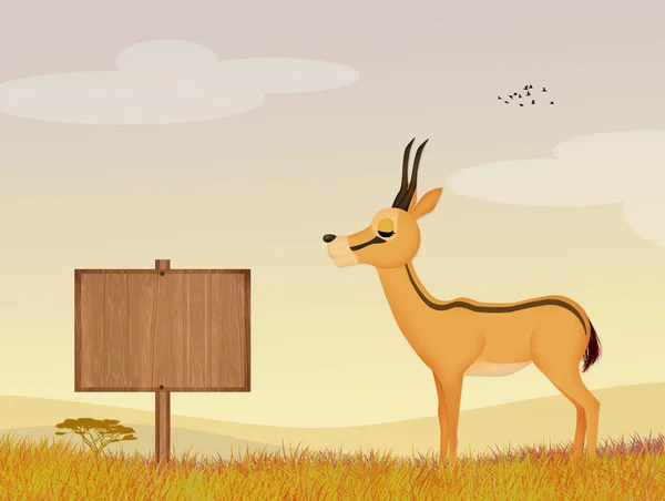 Illustration Der Gazelle Dschungel — Stockfoto