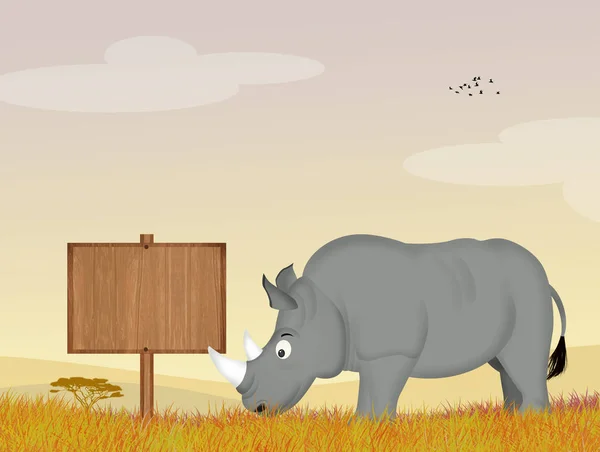 Illustratie Voor Rhino Jungle — Stockfoto