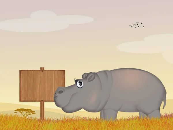 illustration of hippo in the jungle