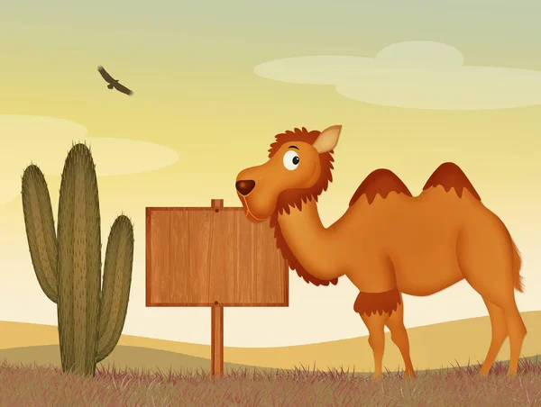 沙漠里的骆驼的插图 — 图库照片