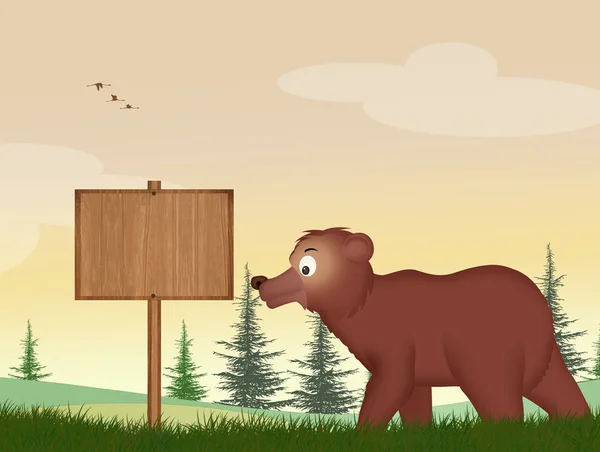 Ilustrace Medvěd Hnědý Lese — Stock fotografie