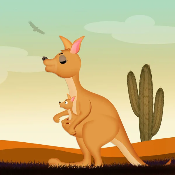 Illustration Kangaroo Desert — Stock Photo, Image