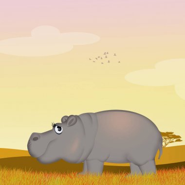 havuzda su aygırı çizimi