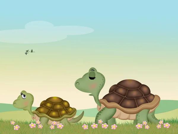 Kaplumbağalar Çayırda — Stok fotoğraf