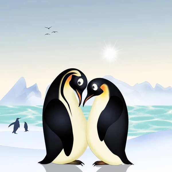 Ilustração Casal Pinguins — Fotografia de Stock