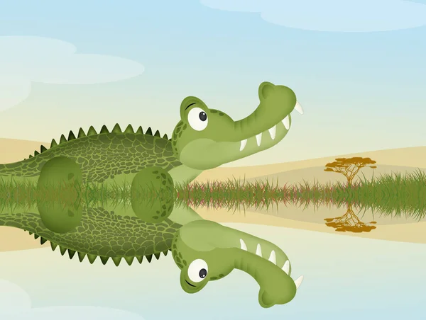 Ilustração Crocodilo Água — Fotografia de Stock