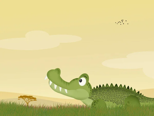 Illustration Alligator Gräset — Stockfoto