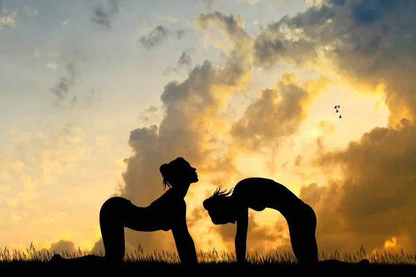 Zwei Mädchen Katzenyoga Pose — Stockfoto