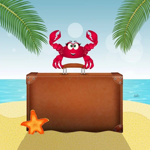 Crabe Sur Valise Sur Plage — Photo