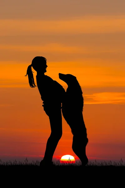 Ilustração Menina Com Cão Pôr Sol — Fotografia de Stock