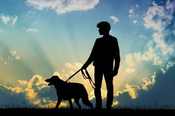 Άνθρωπος Και Σκύλος Στο Ηλιοβασίλεμα — Φωτογραφία Αρχείου