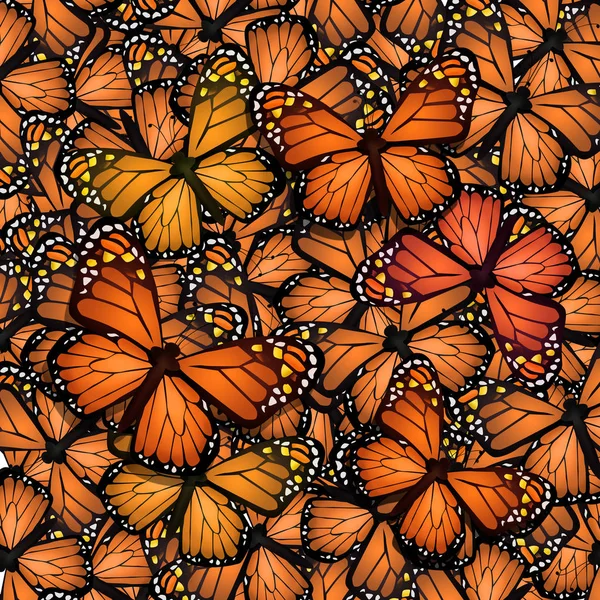 migration of the monarch butterfly