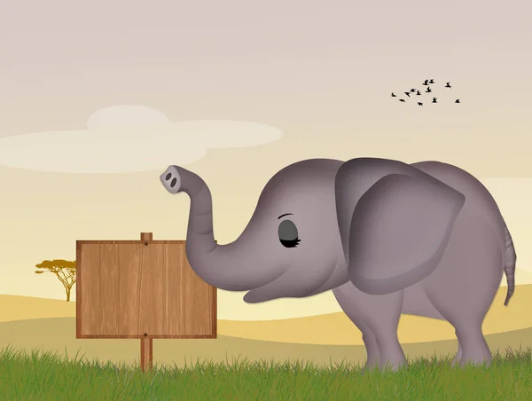 Illustration Elefant Det Afrikanska Landskapet — Stockfoto