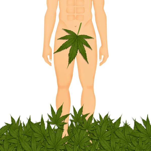 Man Met Marihuanablad — Stockfoto