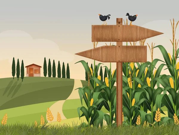 Ilustrace Kukuřičného Pole — Stock fotografie